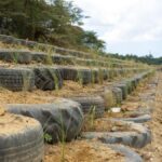Así van los trabajos de recuperación del contaminado río Haina, seis meses después