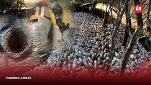 «tuve-que-hipotecar-la-casa»:-alto-voltaje-destruye-granja-de-peces-y-amenaza-con-quebrar-a-productor