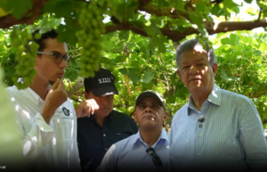 leonel-fernandez-visita-san-juan-y-recorre-proyecto-de-produccion-de-uvas-en-pedro-corto