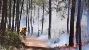 Incendio forestal afecta la Sierra de Bahoruco y cubre de humo a Pedernales