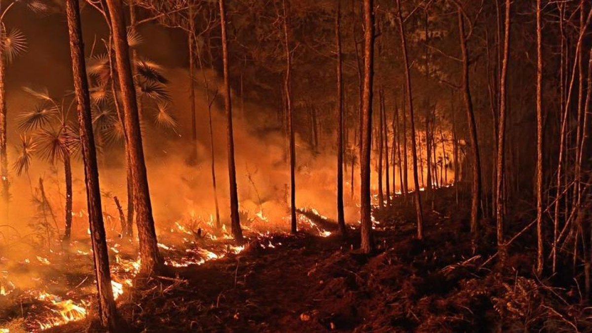Incendio en Pelempito-Aceitillar entra en fase de liquidación, tras quedar bajo control