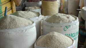 Importación excesiva de arroz golpea a productores del Bajo Yuna y Montecristi
