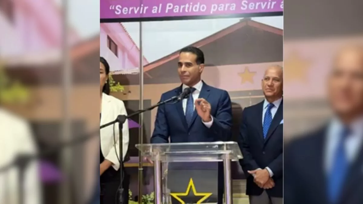 PLD pide transparentar muertes en intervenciones policiales y cuestiona resultados de la reforma