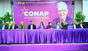 PLD afina detalles para consulta interna del 18 de octubre con aspirantes presidenciales