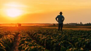 PLD felicita agrónomos: ”Son protagonistas del desarrollo y garante de la producción de alimentos”