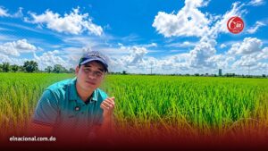 Prevén colapso productivo tras derogación de aranceles al arroz estadounidense