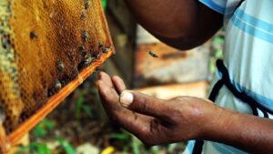 Abren convocatoria para financiar proyectos comunitarios de hasta 50,000 dólares