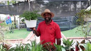 El negocio verde que gana terreno en República Dominicana