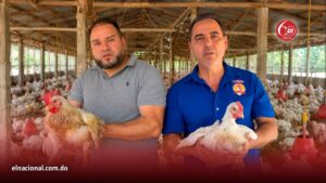 Productores avícolas aseguran estar al borde de la quiebra por sobreproducción e importaciones