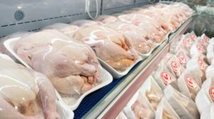 Reportaje- Pequeños y medianos productores de arroz y pollo advierten importaciones sin control los arruinarán